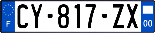 CY-817-ZX