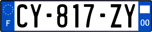 CY-817-ZY