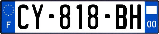 CY-818-BH