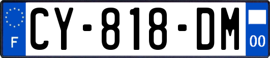 CY-818-DM