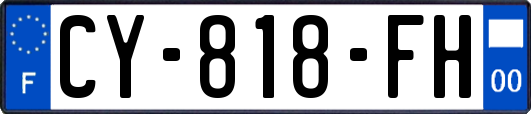 CY-818-FH