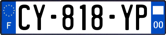 CY-818-YP