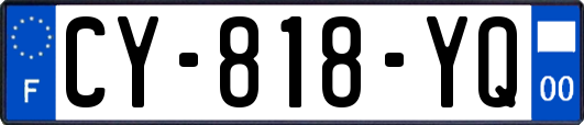 CY-818-YQ