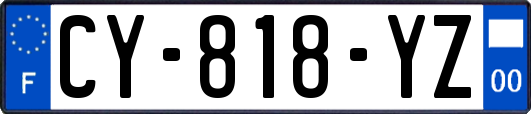 CY-818-YZ