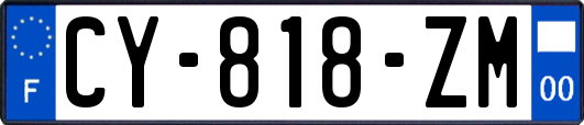CY-818-ZM