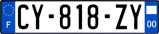 CY-818-ZY