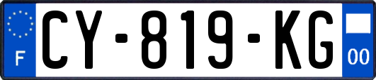 CY-819-KG