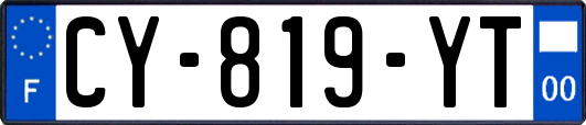CY-819-YT