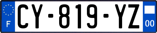CY-819-YZ