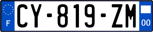 CY-819-ZM