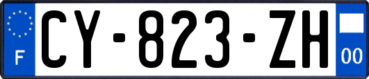 CY-823-ZH