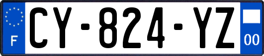 CY-824-YZ