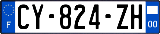 CY-824-ZH