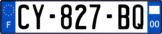 CY-827-BQ