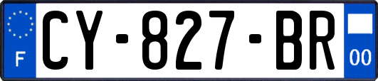 CY-827-BR