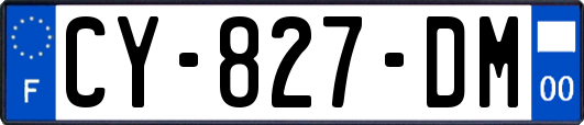 CY-827-DM