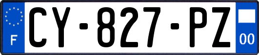 CY-827-PZ