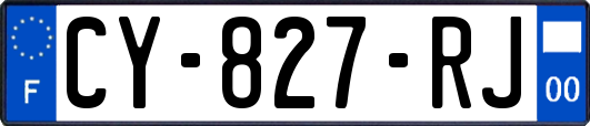 CY-827-RJ