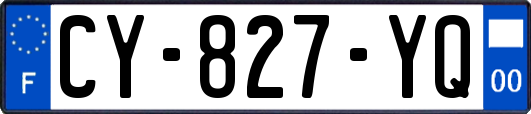 CY-827-YQ