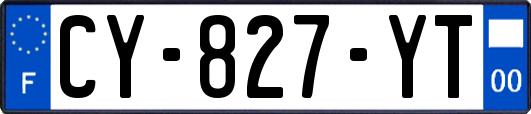 CY-827-YT
