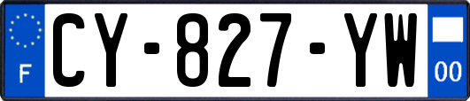 CY-827-YW