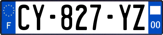 CY-827-YZ