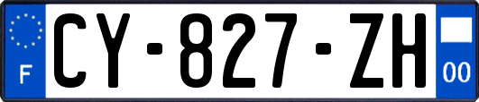 CY-827-ZH