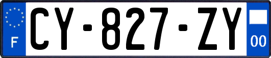 CY-827-ZY