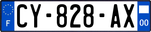 CY-828-AX