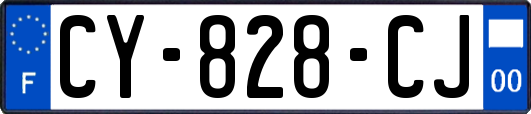 CY-828-CJ