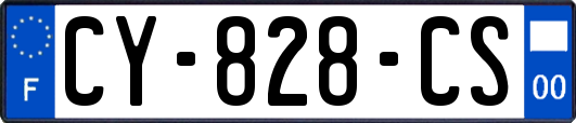 CY-828-CS