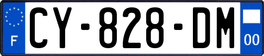 CY-828-DM