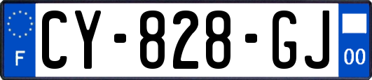 CY-828-GJ