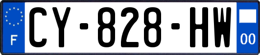 CY-828-HW