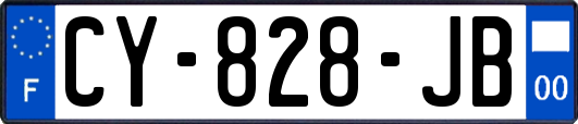 CY-828-JB