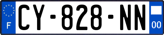 CY-828-NN