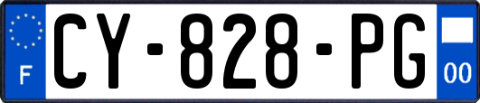 CY-828-PG