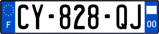 CY-828-QJ