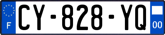 CY-828-YQ