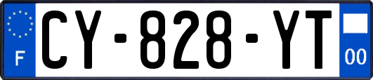 CY-828-YT