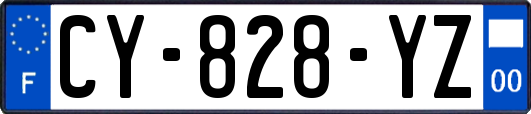 CY-828-YZ