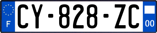 CY-828-ZC