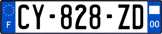 CY-828-ZD