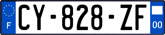 CY-828-ZF