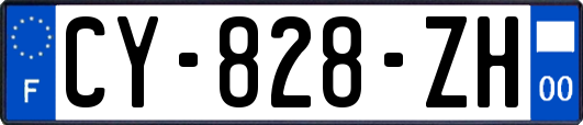 CY-828-ZH