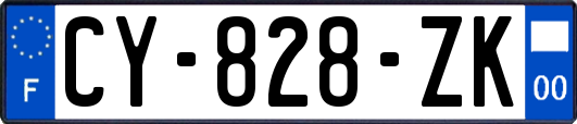 CY-828-ZK