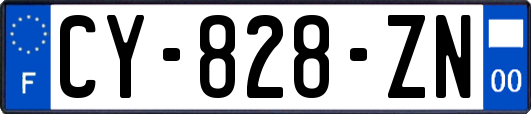 CY-828-ZN