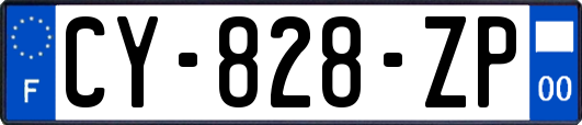 CY-828-ZP