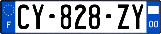 CY-828-ZY