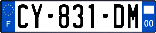 CY-831-DM